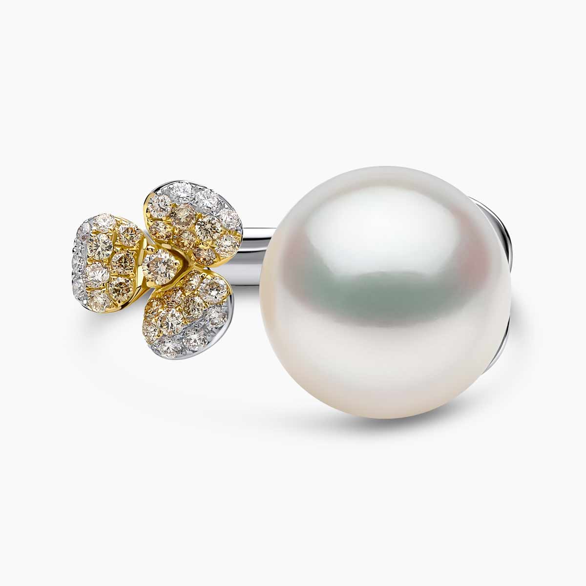 White Gold / White Australian South Sea
