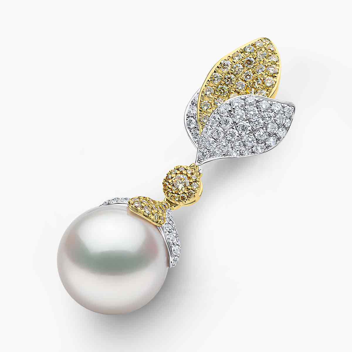 White Australian South Sea / White Gold