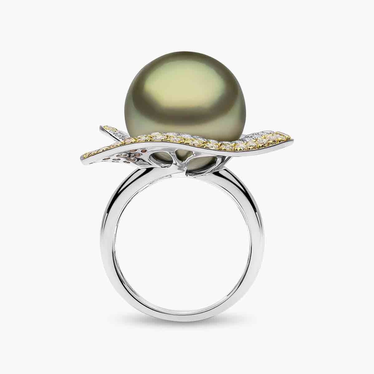 White Gold / Pistachio Tahitian / N