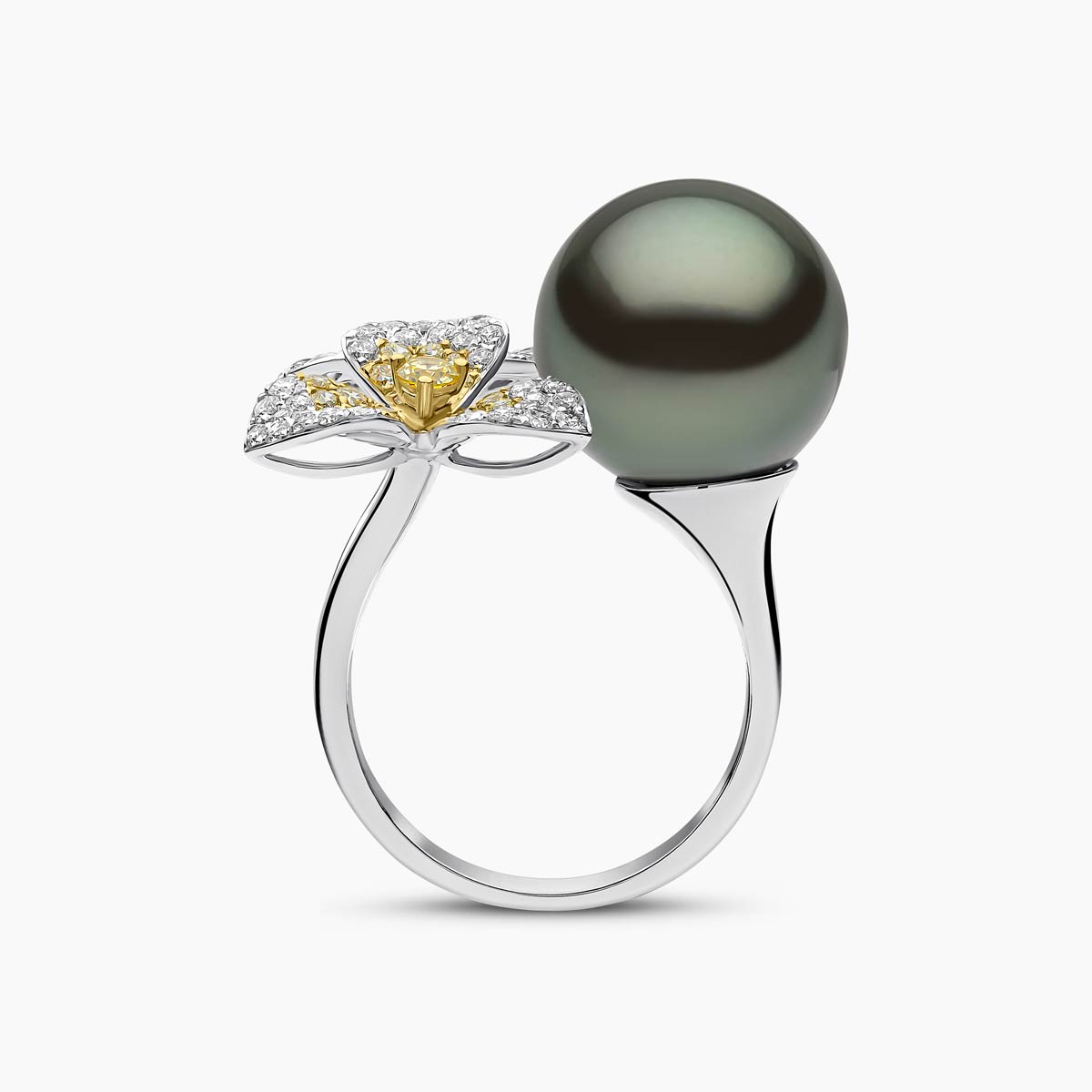 White Gold / Tahitian