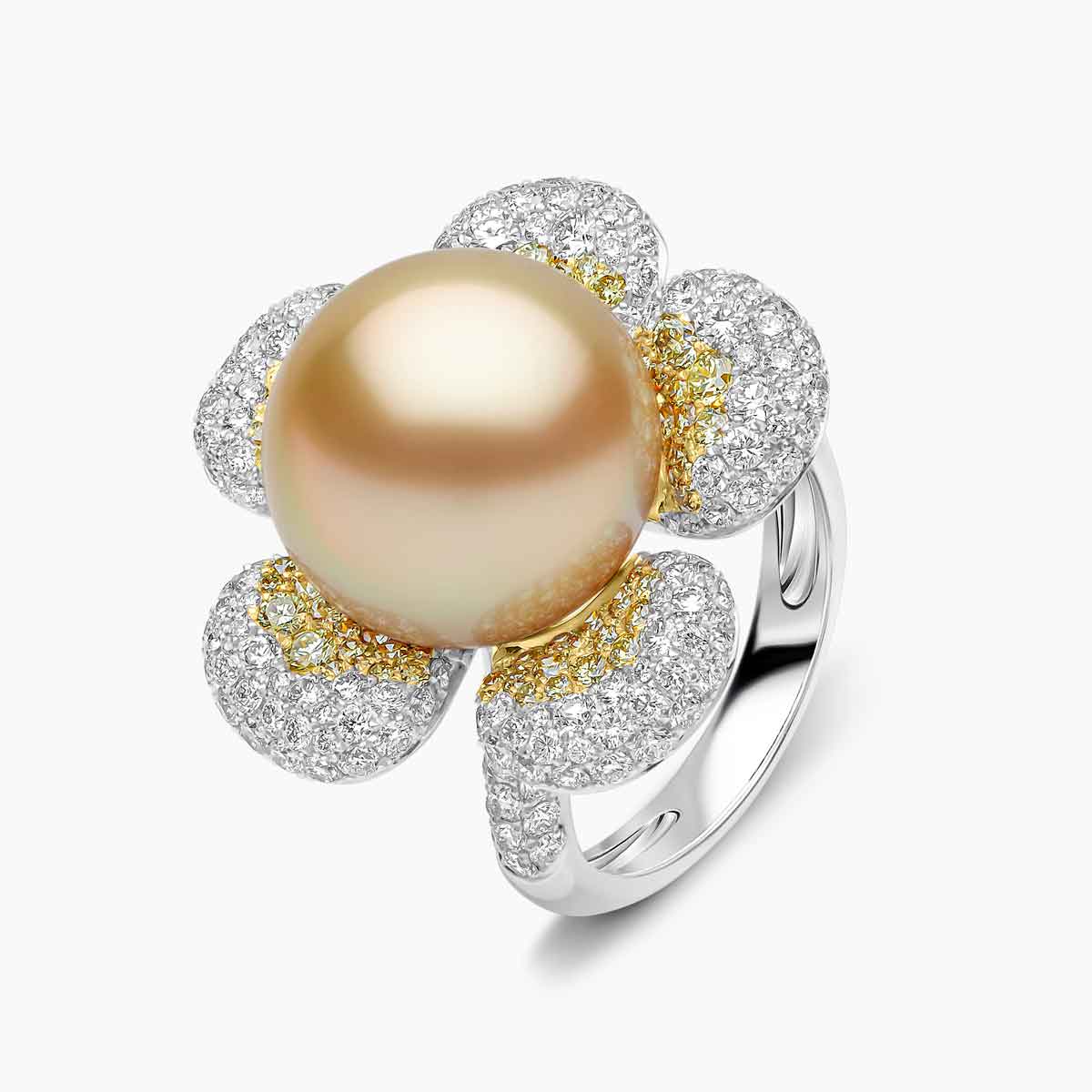White Gold / Golden Indonesian South Sea / N