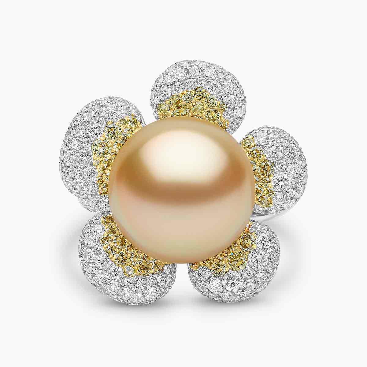 White Gold / Golden Indonesian South Sea / N