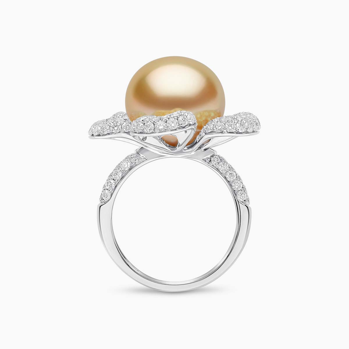White Gold / Golden Indonesian South Sea / N