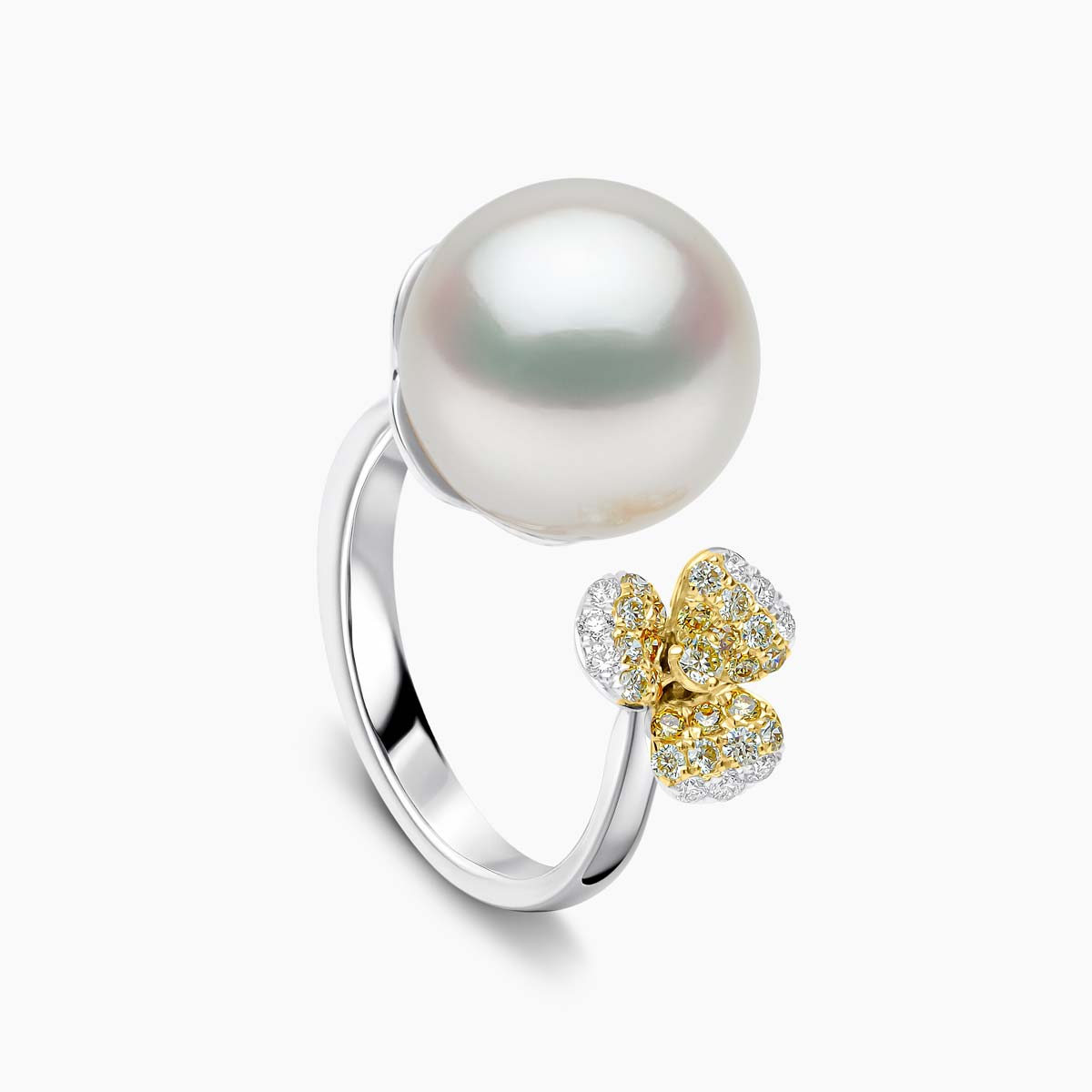 White Gold / White Australian South Sea / N