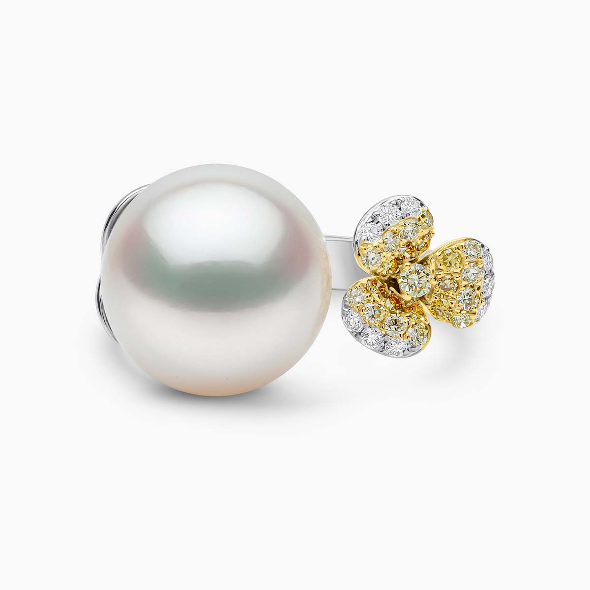 White Gold / White Australian South Sea / N