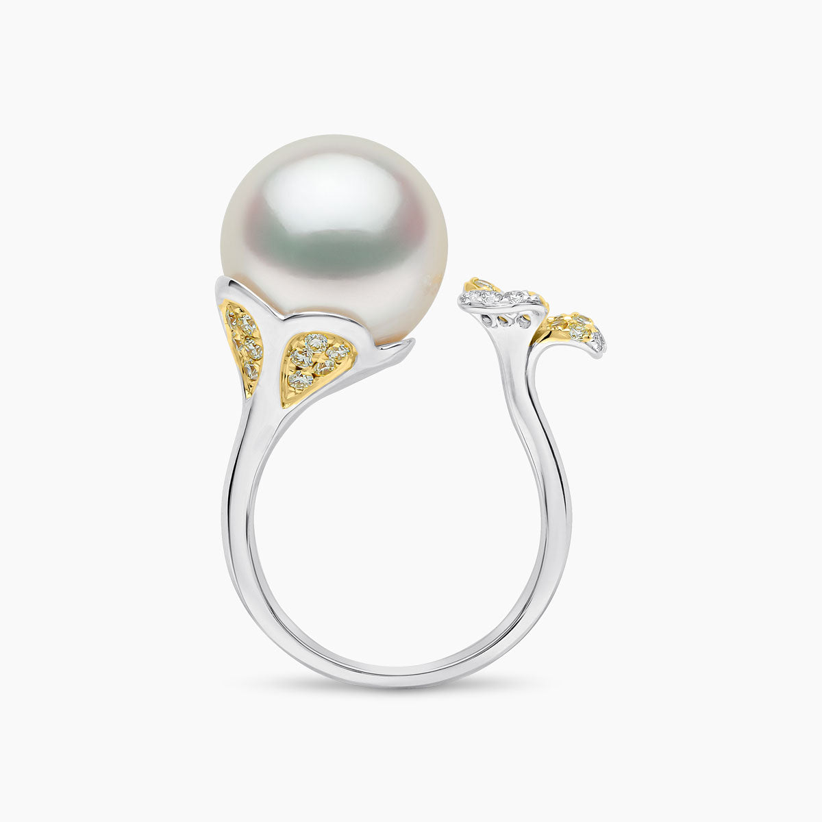 White Gold / White Australian South Sea / N