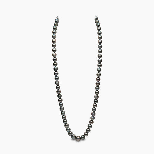 White Gold/ Black Tahitian