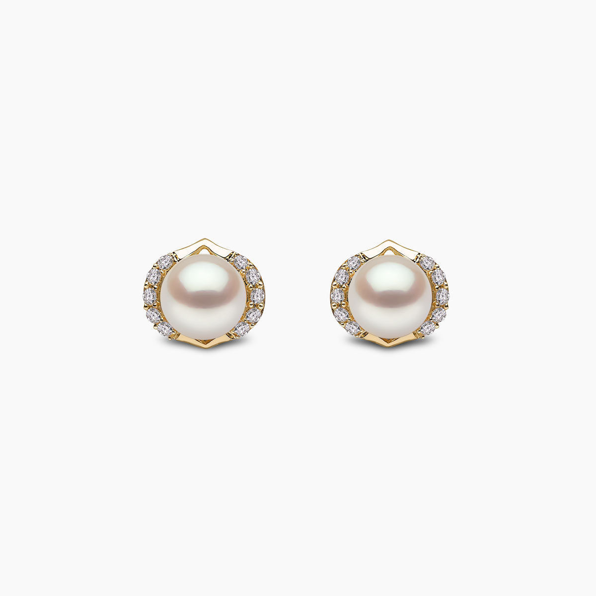 Yellow Gold / White Freshwater