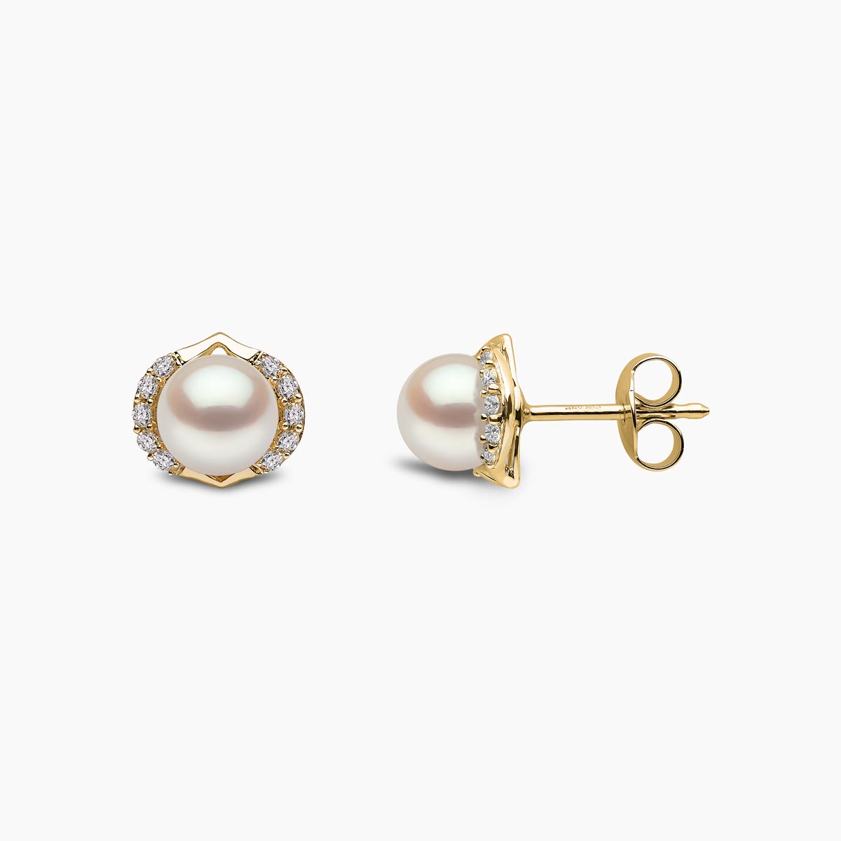 Yellow Gold / White Freshwater