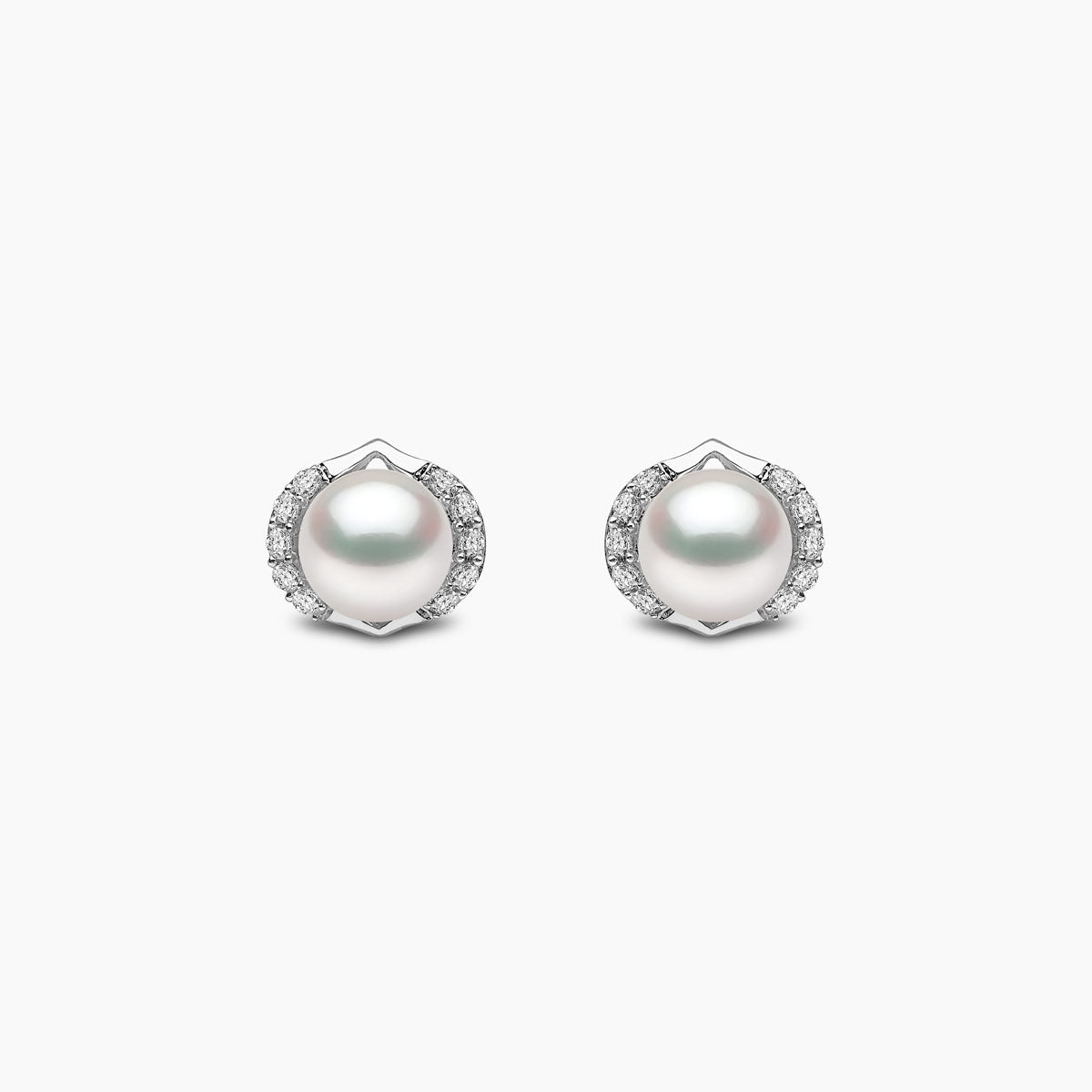 White Gold / White Freshwater