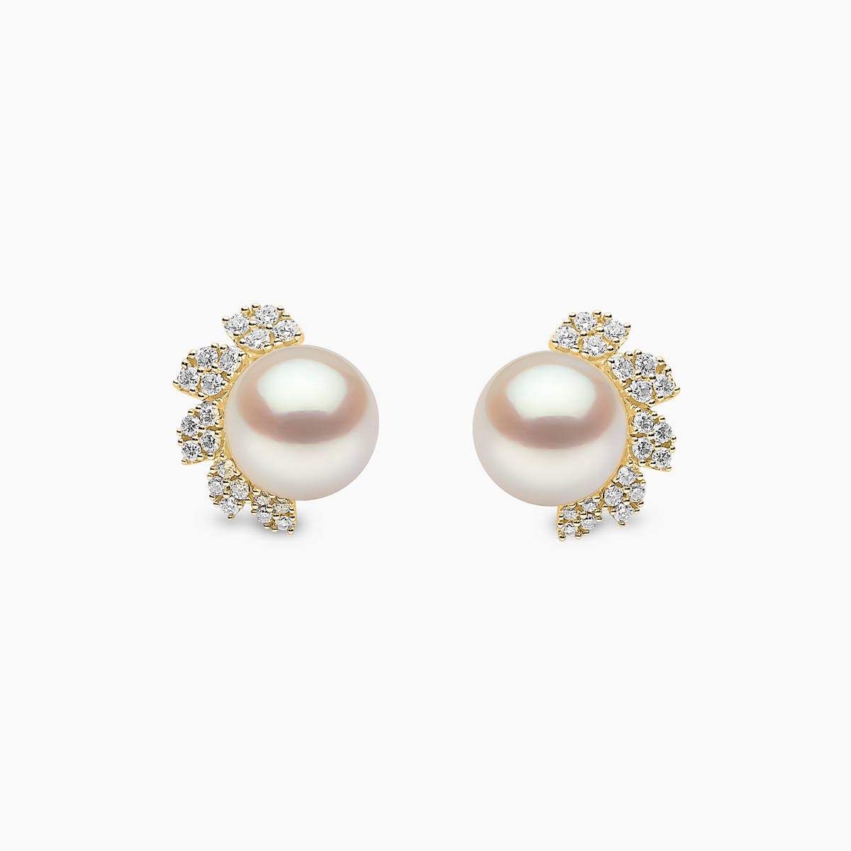 Yellow Gold / White Freshwater