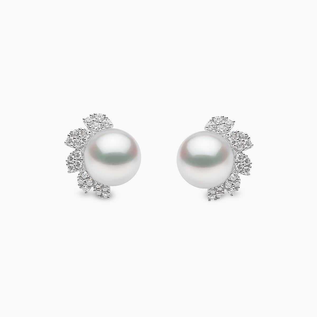 White Gold / White Freshwater