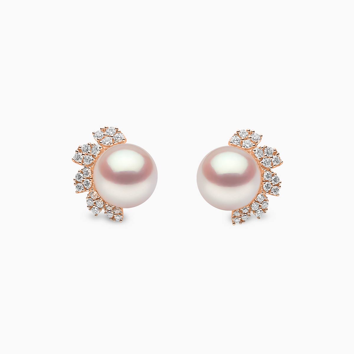 Rose Gold / White Freshwater