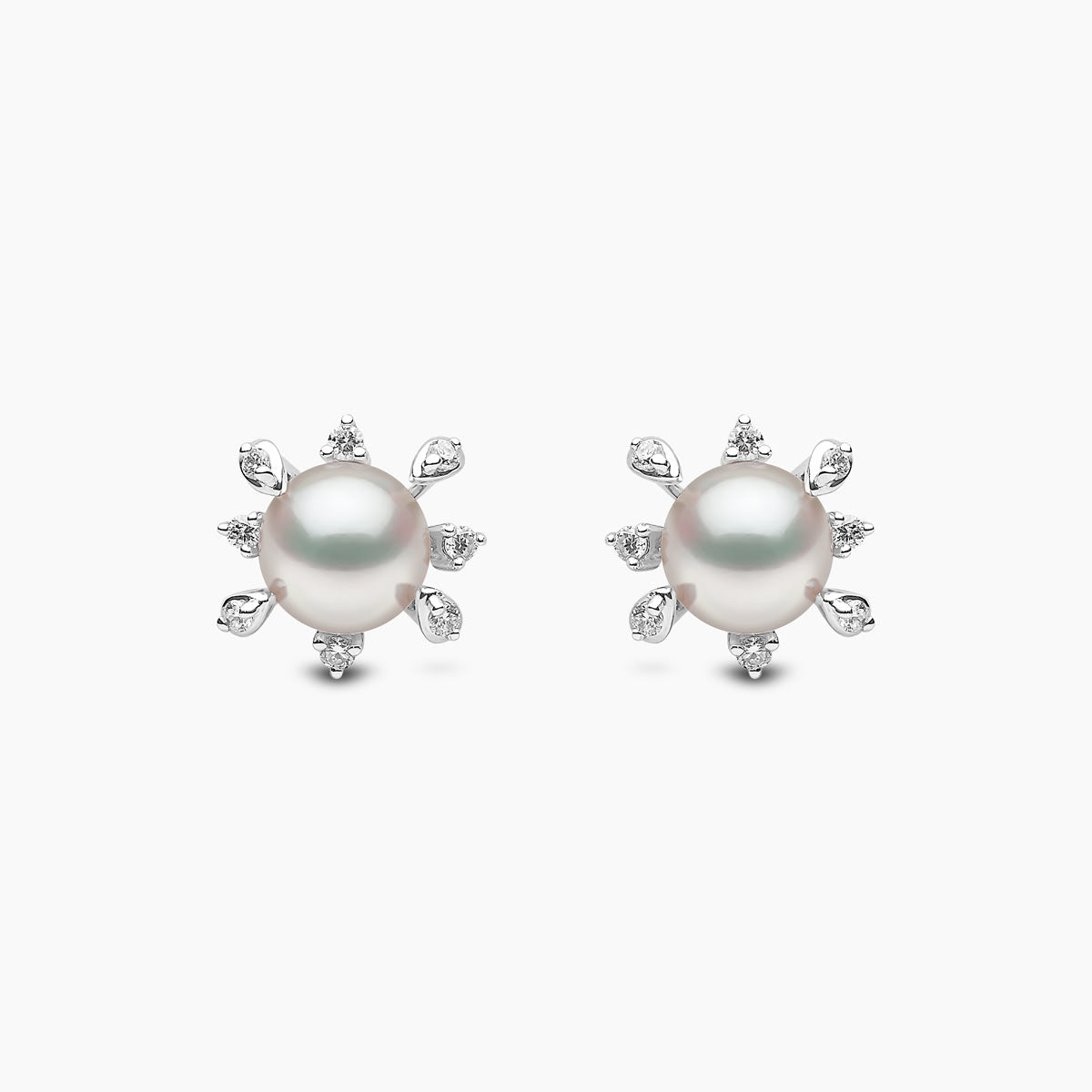 White Gold / White Freshwater