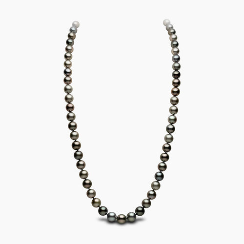 White Gold / Black Tahitian