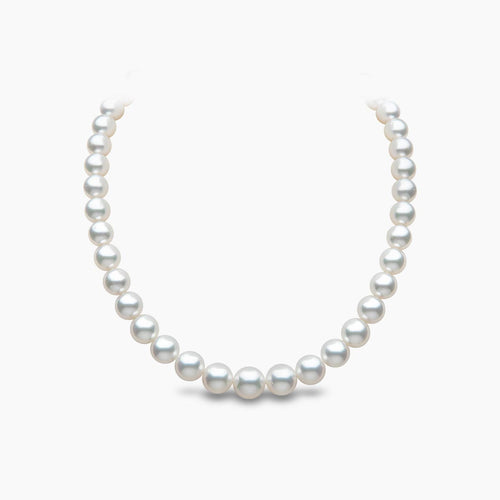 Yellow Gold / White Australian South Sea