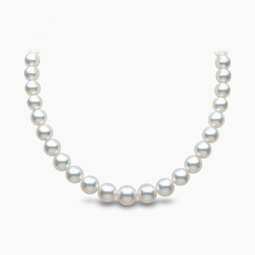 White Gold / White Australian South Sea