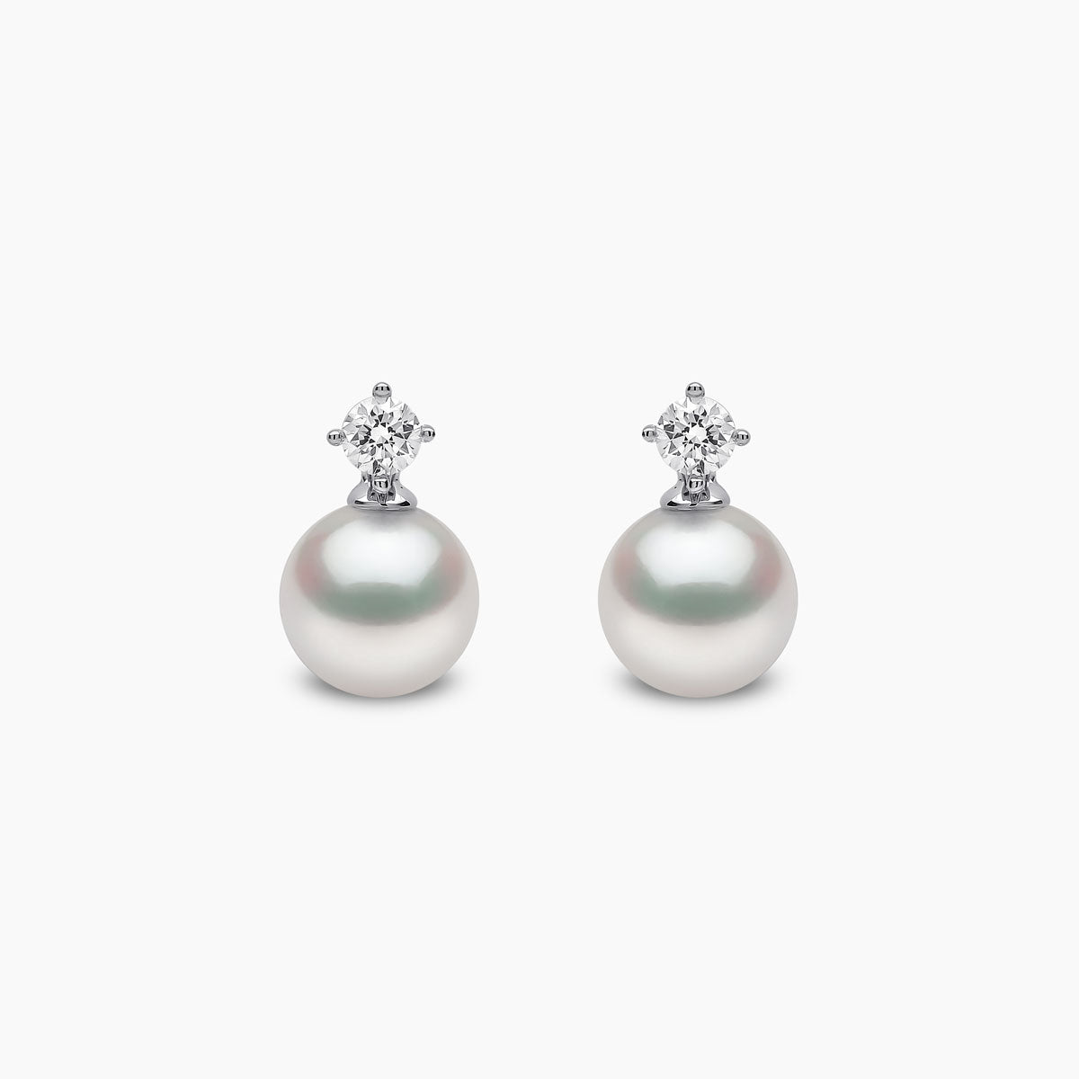 White Gold / White Japanese Akoya