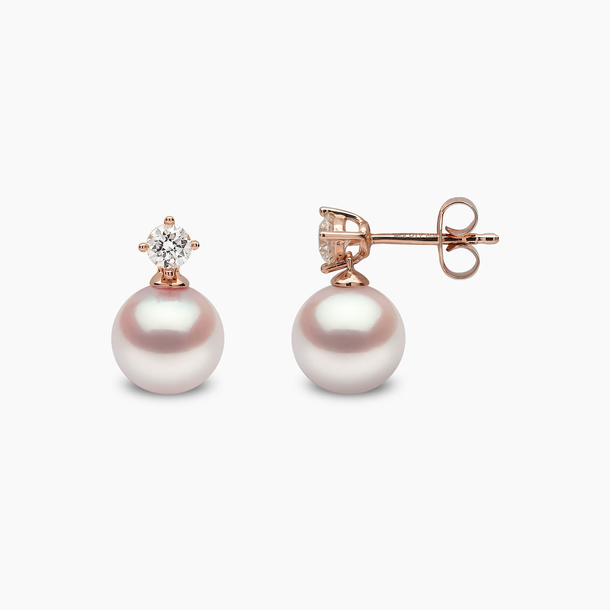 Rose Gold / White Japanese Akoya