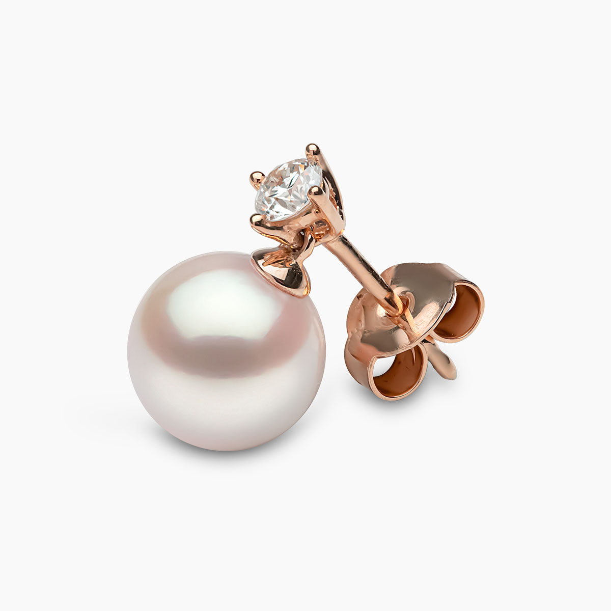 Rose Gold / White Japanese Akoya