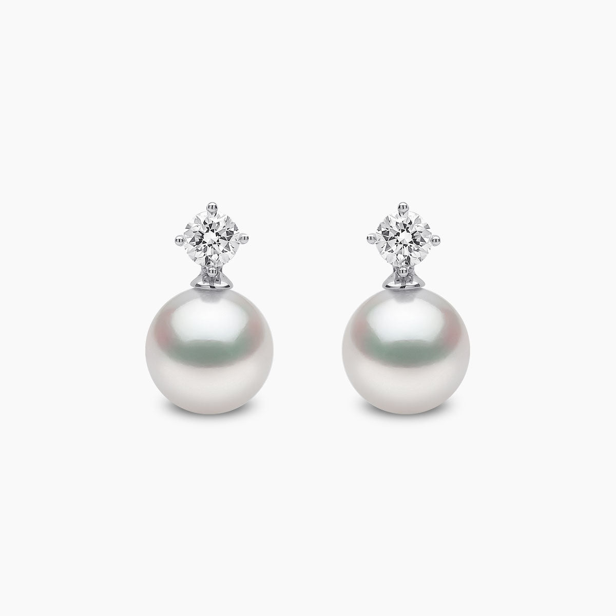 White Gold / White Japanese Akoya
