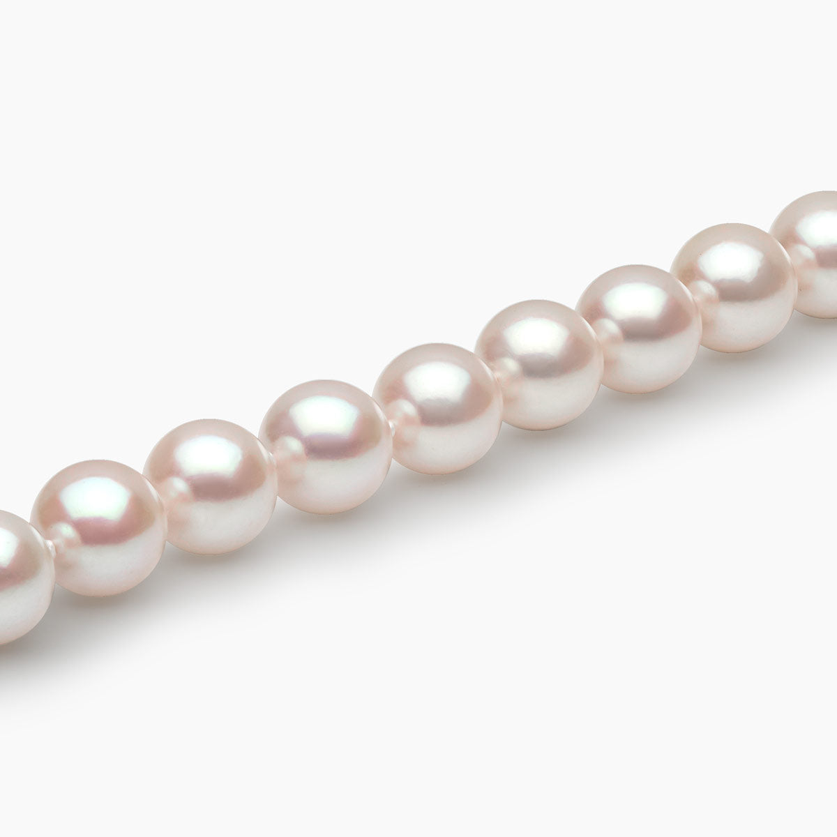 White Gold / White Japanese Akoya / 6.5mm