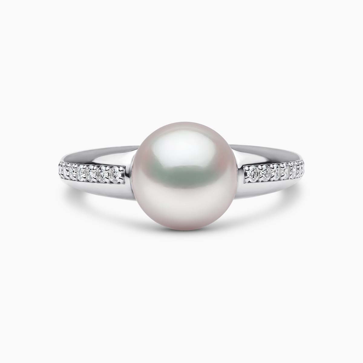 White Gold / White Australian South Sea