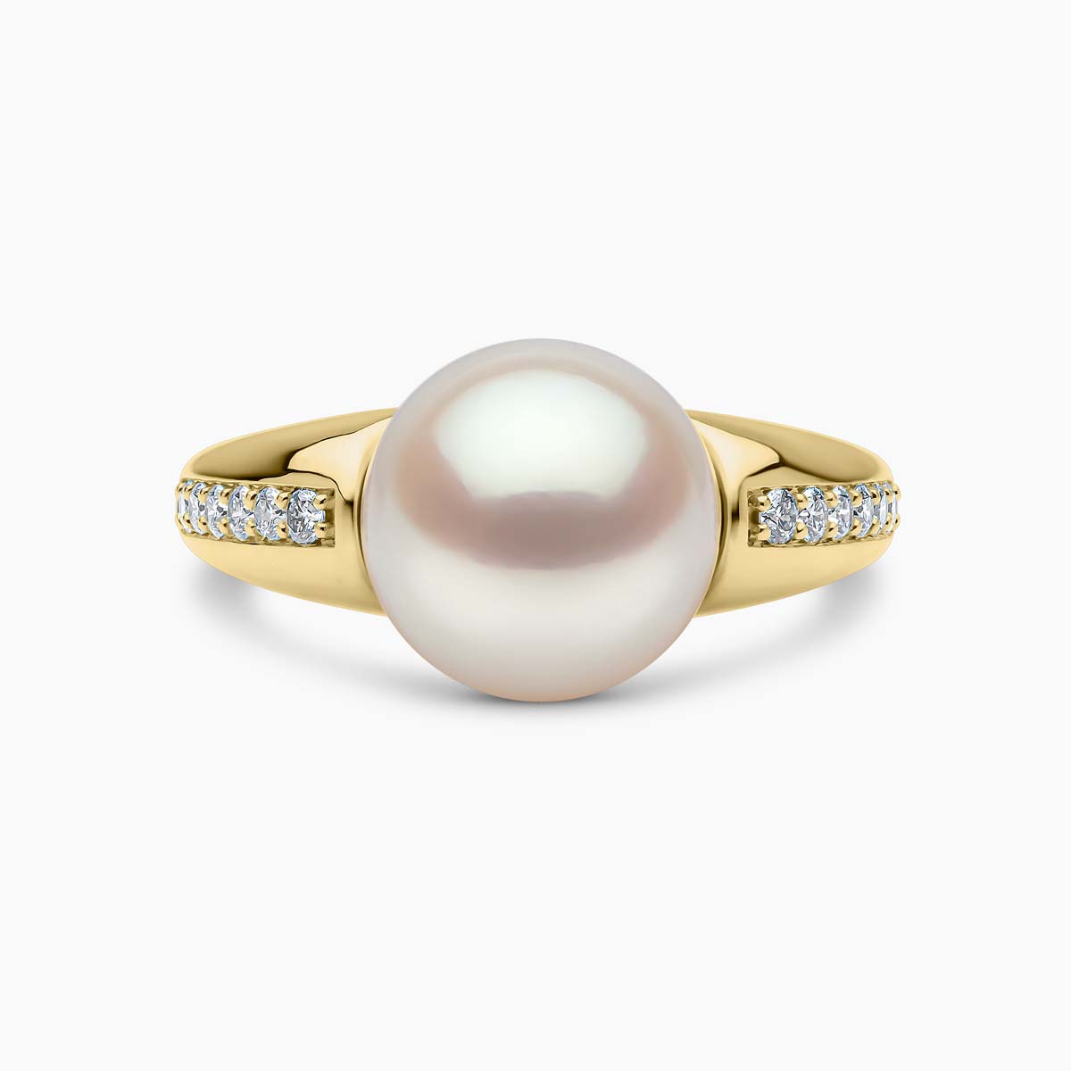 Yellow Gold / White Australian South Sea