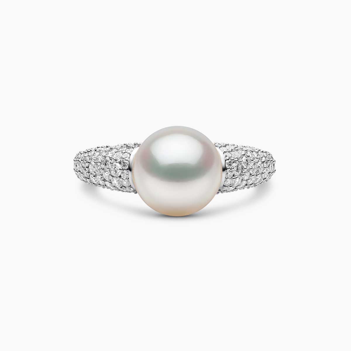 White Gold / White Australian South Sea